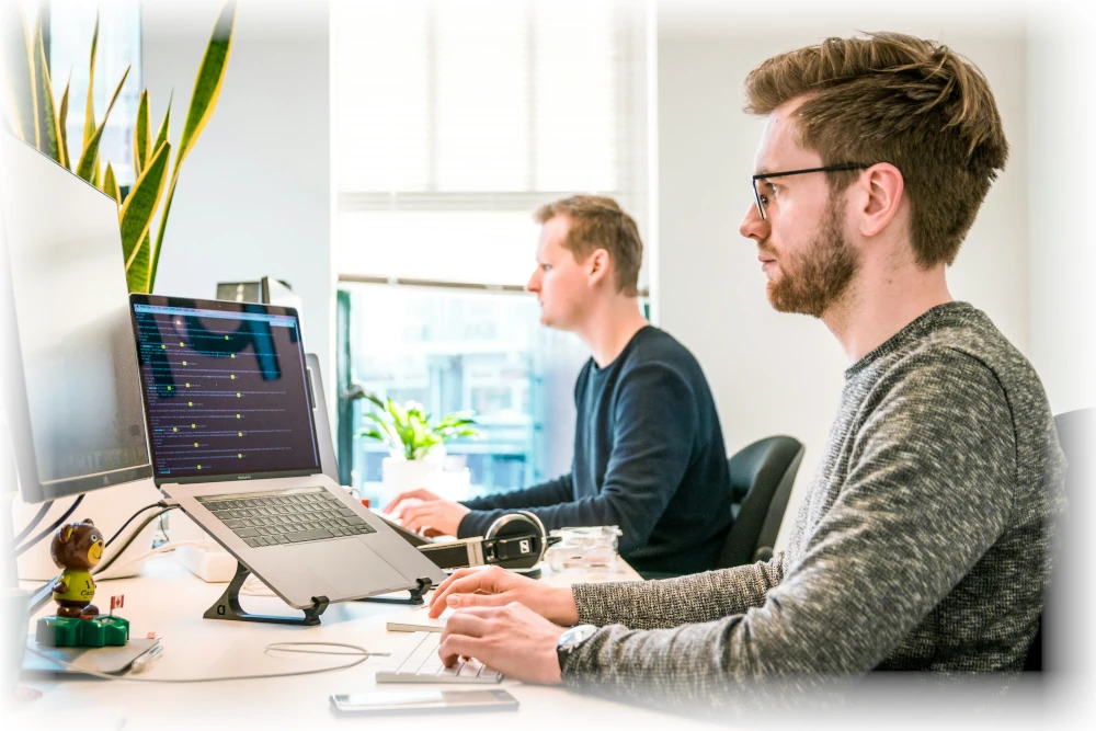 Software development and application support team